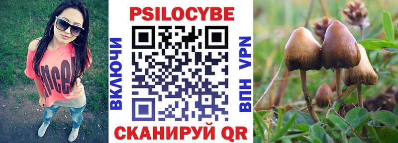 Псилоцибиновые грибы Psilocybe  Ишимбай 